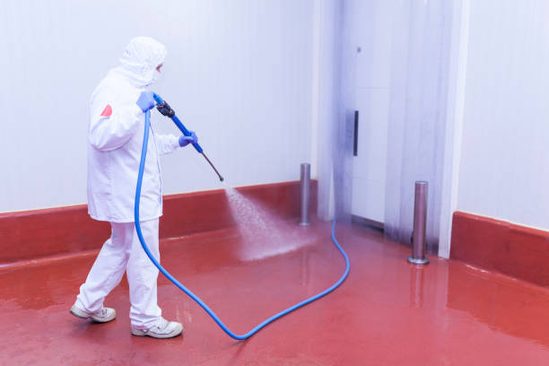 Best Driveway Pressure Washing  in Eastpoint, FL